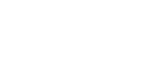 nulixir